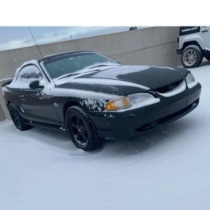 Meet your Posher, Bailey